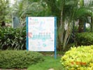 school - Shenzhen Jinglian primary school - Propagation Rail
